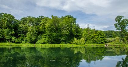 Riserva Naturale Orientata 